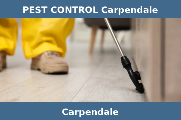 PEST CONTROL Carpendale